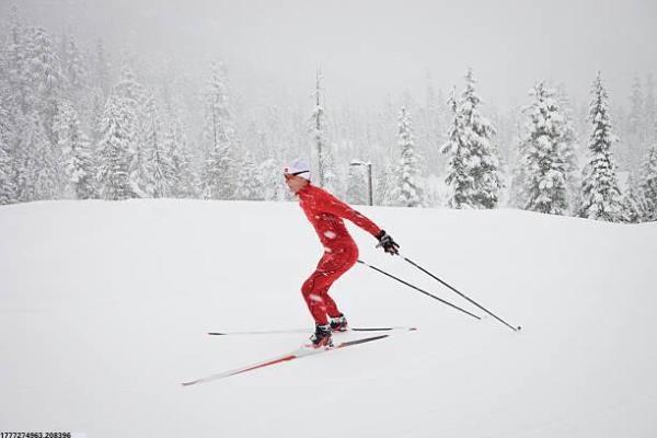 体育培训机构发展背景与趋势(图1)