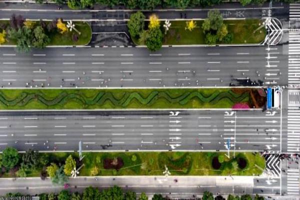 哪些体育项目从小开始练习最合适(图1)